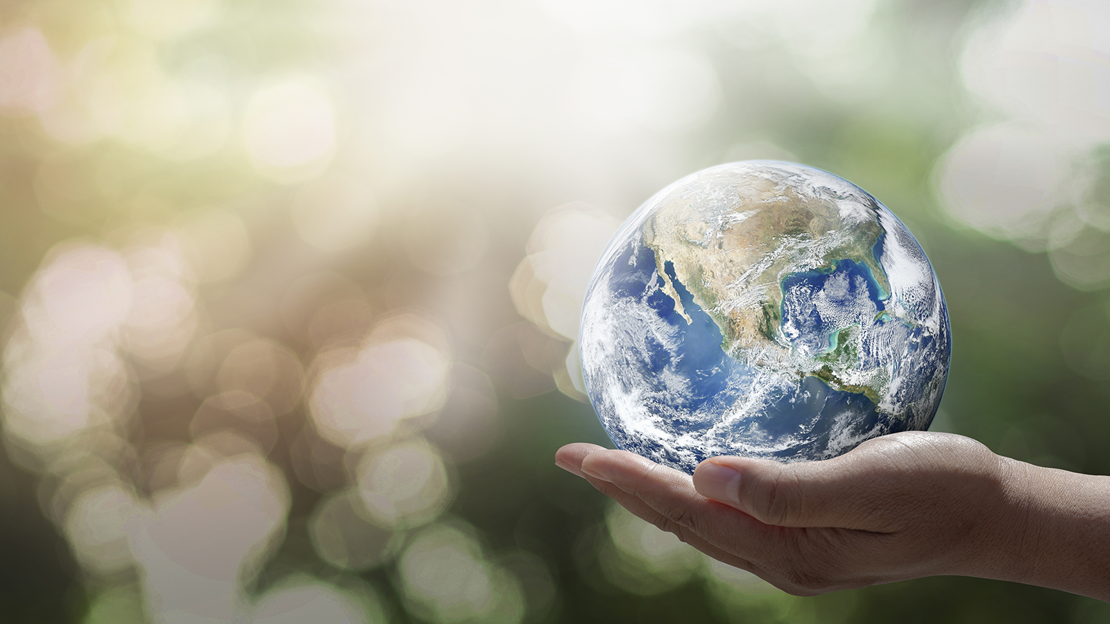 Au sein du groupe Avril, OleoZE oeuvre pour Servir la Terre