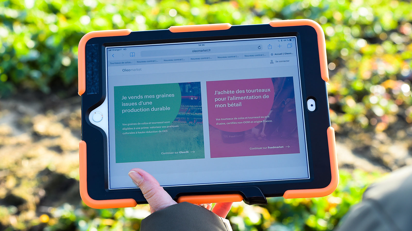 OleoZE, la 1ère solution de vente en ligne pour les graines de colza et de tournesol durables