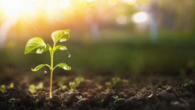 OleoZE au coeur de l'initiative "4 pour 1000"