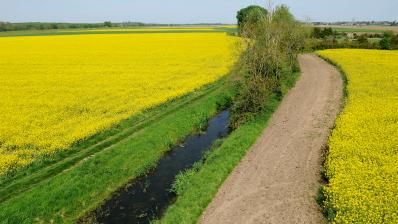 Diminuer les GES, augmentez vos revenus