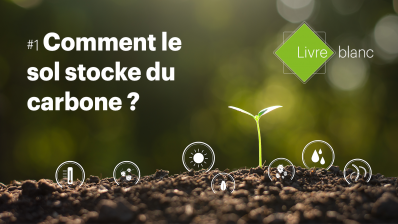 [Livre blanc] Comment le sol stocke du carbone ?