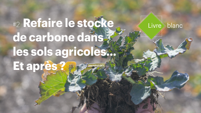[Livre blanc] Refaire le stocke de carbone dans les sols agricoles... Et après ?