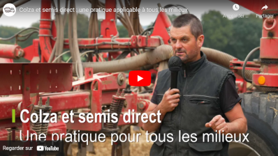 Colza et semis direct : une pratique applicable à tous les milieux