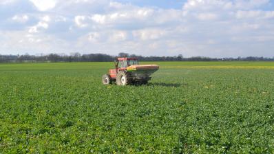 Epandage ammonitrate